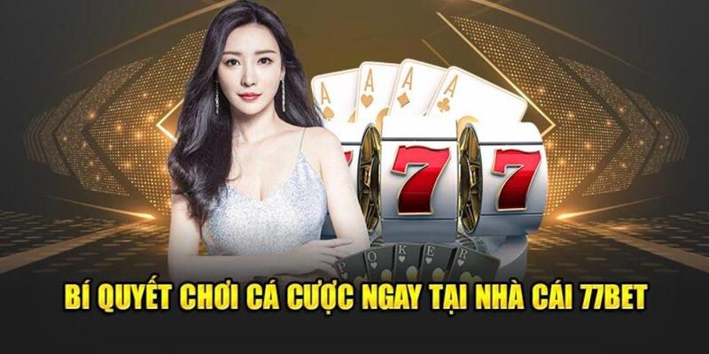 Chiến lược cao thủ chinh phục mọi ván game bài 77BET