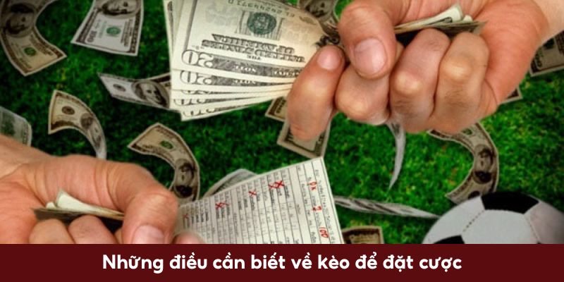 Những điều cần biết về kèo để đặt cược 